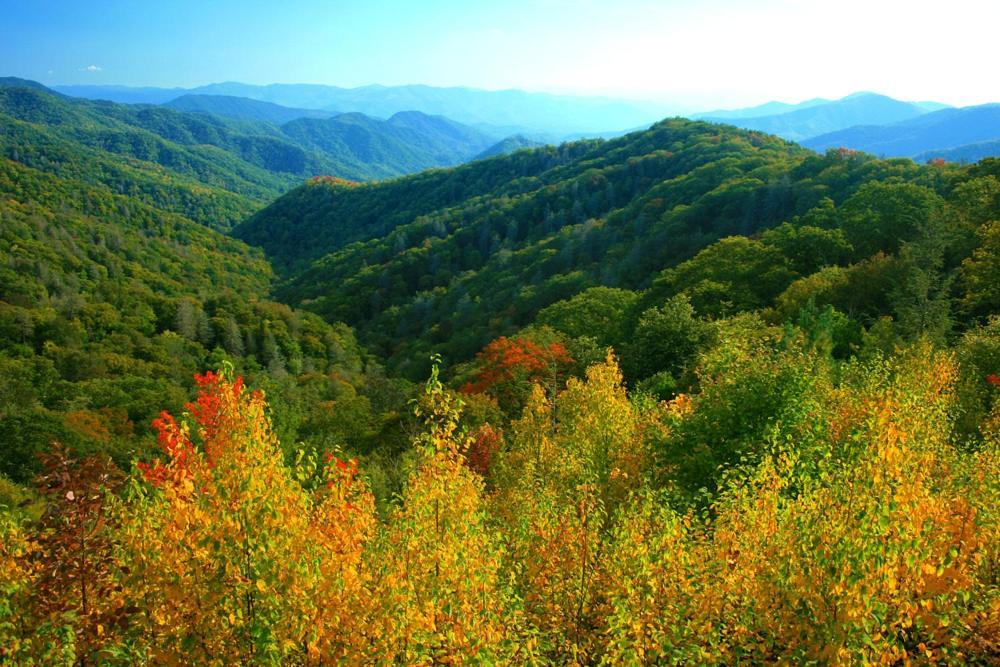 A Charming Cabin, Pool, Firepit, Hot Tub-Jacuzzi Gatlinburg Exteriör bild