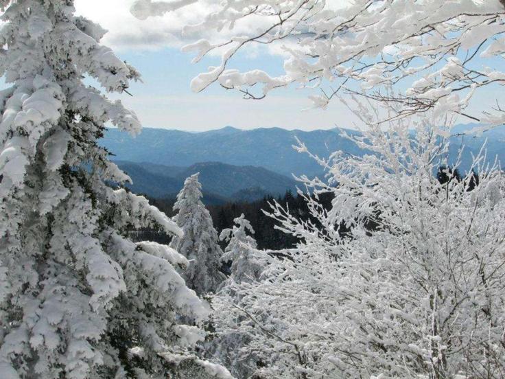 A Charming Cabin, Pool, Firepit, Hot Tub-Jacuzzi Gatlinburg Exteriör bild
